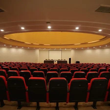 Excellence Hotel